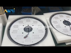 LEDの庭の照明設備5年の保証