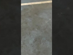 投光灯 が 卓球 場 を 照ら し て いる