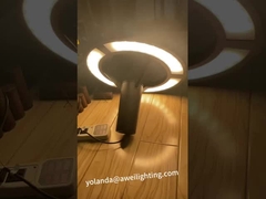 ガーデンライト テスト 電圧 パーソナライズ 照明