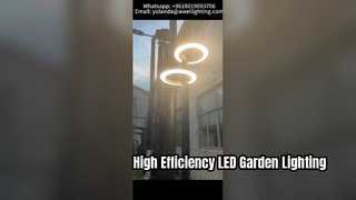 30W-60W IP66 IK10 ダブルヘッド LED ガーデン ライト 160lm/w 通りで使用されます。